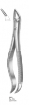  Fig. 76N upper roots 